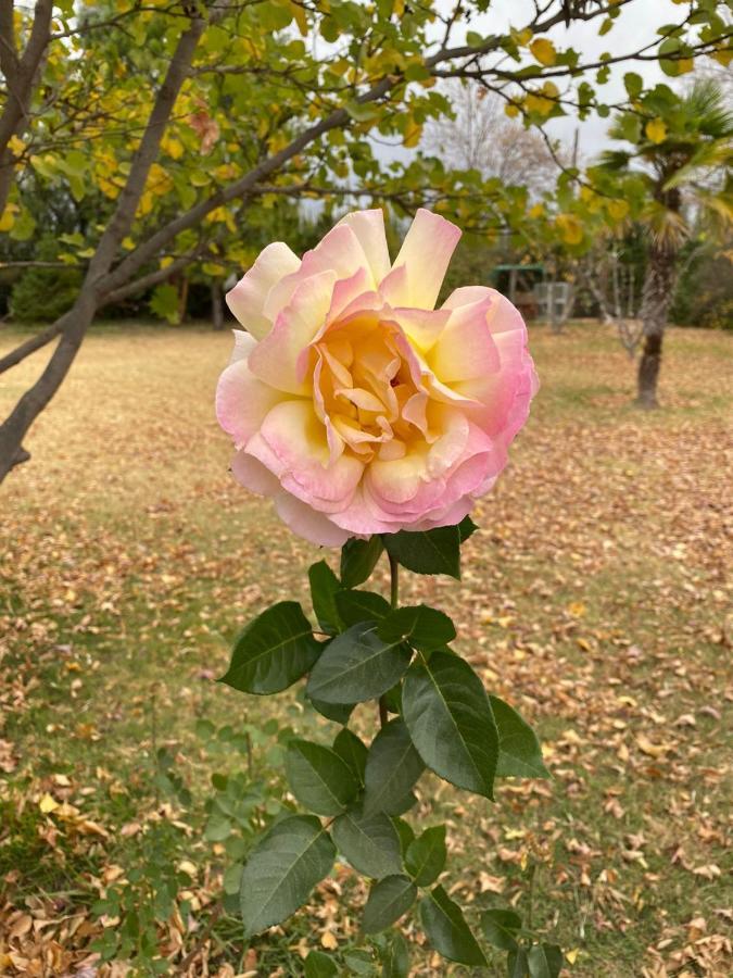 Finca Del Rio - Casa De Campo 투누얀 외부 사진